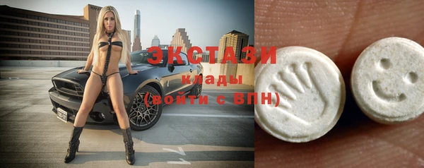 дживик Богородицк