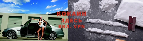 дживик Богородицк