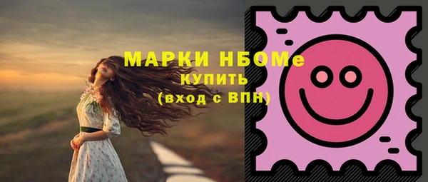 дживик Богородицк