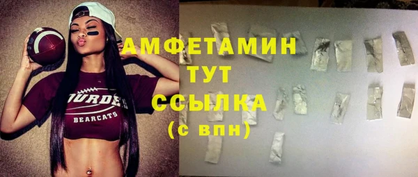гашик Богородск