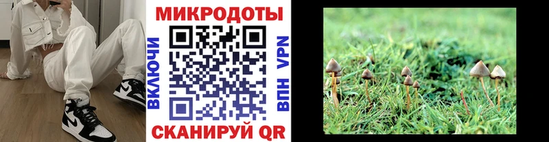 Галлюциногенные грибы Psilocybe  цена   Вельск 